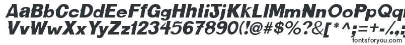 CactussskBolditalic Font – Fonts for Discord