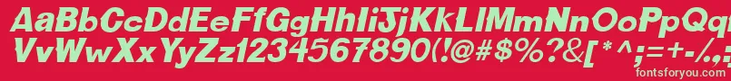 CactussskBolditalic Font – Green Fonts on Red Background