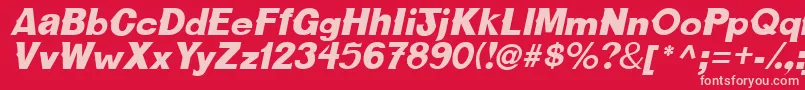 CactussskBolditalic Font – Pink Fonts on Red Background