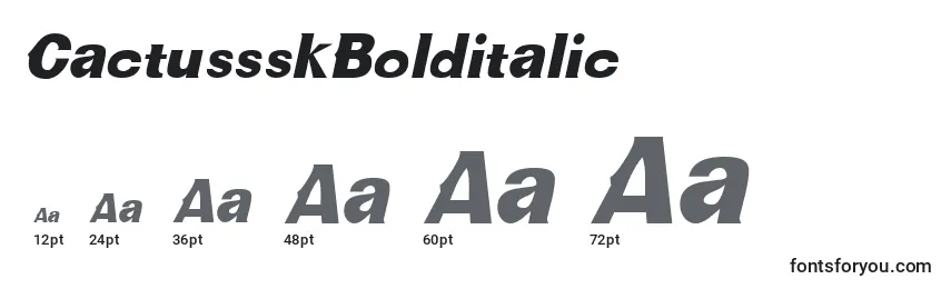 CactussskBolditalic Font Sizes