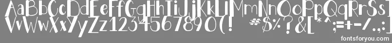 DjbHollyJollyBold Font – White Fonts on Gray Background