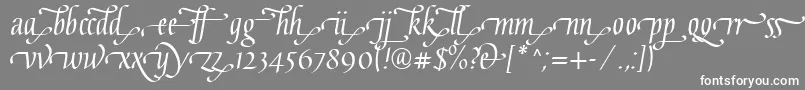 GaiusLtRegularEnd Font – White Fonts on Gray Background