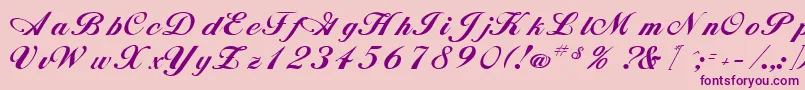 AlisonRegular Font – Purple Fonts on Pink Background