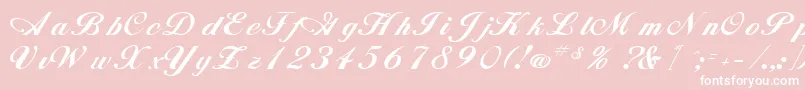AlisonRegular-Schriftart – Weiße Schriften auf rosa Hintergrund