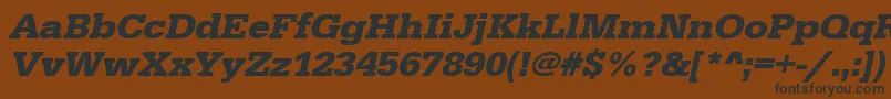 UrwegyptiennetwidBoldOblique Font – Black Fonts on Brown Background