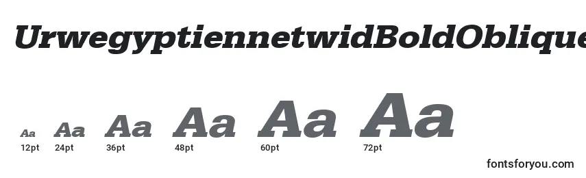 Размеры шрифта UrwegyptiennetwidBoldOblique