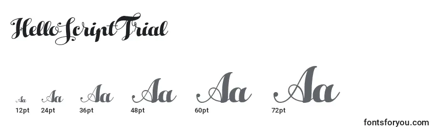 HelloScriptTrial Font Sizes