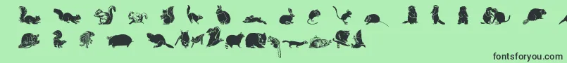 Wwfurryfriends Font – Black Fonts on Green Background