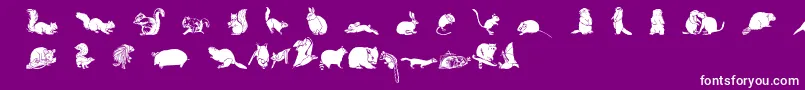 Wwfurryfriends Font – White Fonts on Purple Background