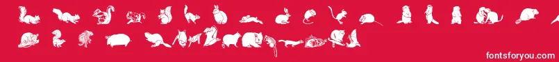 Wwfurryfriends Font – White Fonts on Red Background