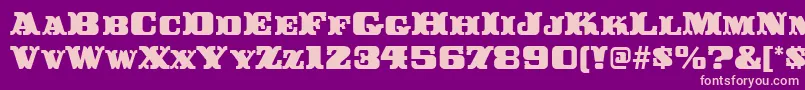 BuckerooitcTt Font – Pink Fonts on Purple Background