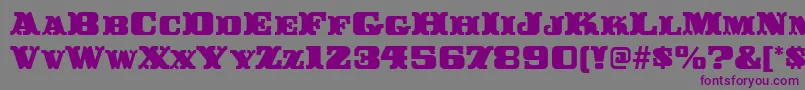 BuckerooitcTt Font – Purple Fonts on Gray Background