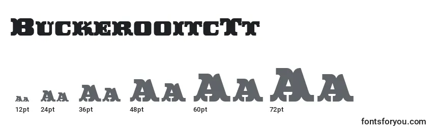 BuckerooitcTt Font Sizes