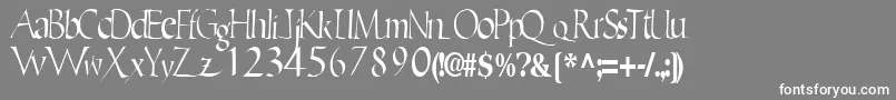 Ericbrush21RegularTtcon Font – White Fonts on Gray Background