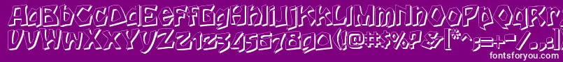 HoutsneeletterShadow Font – White Fonts on Purple Background