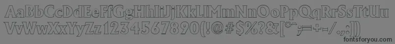 AdelonoutlineXboldRegular Font – Black Fonts on Gray Background