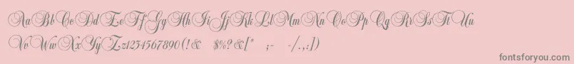Copyistc-Schriftart – Graue Schriften auf rosa Hintergrund