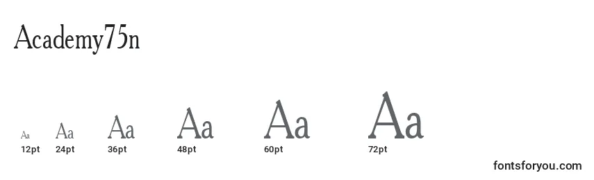 Academy75n Font Sizes