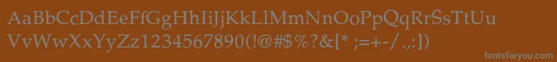 フォントPalladiumThin – 茶色の背景に灰色の文字