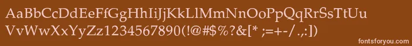 Шрифт PalladiumThin – розовые шрифты на коричневом фоне