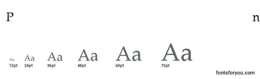 Размеры шрифта PalladiumThin