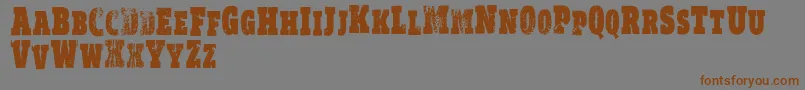 VtksRealm Font – Brown Fonts on Gray Background