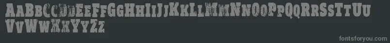 VtksRealm Font – Gray Fonts on Black Background