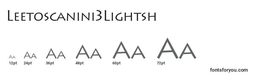 Leetoscanini3Lightsh Font Sizes