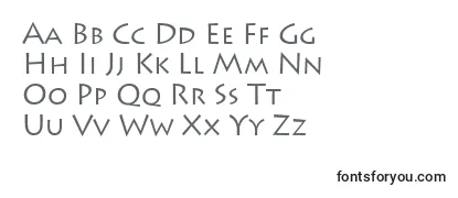 Review of the Leetoscanini3Lightsh Font