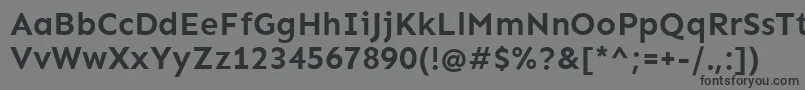 SenBold Font – Black Fonts on Gray Background