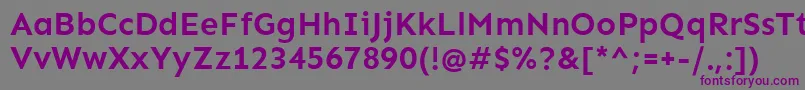 SenBold-fontti – violetit fontit harmaalla taustalla