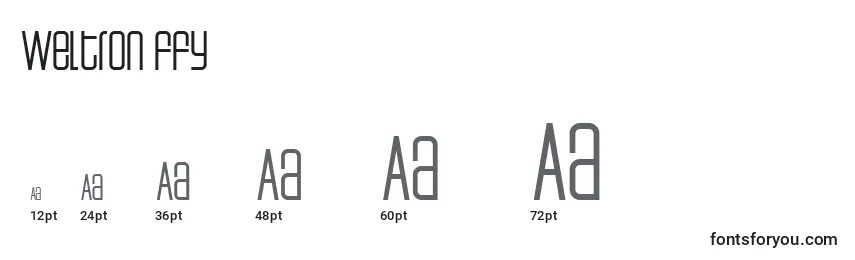 Weltron ffy Font Sizes