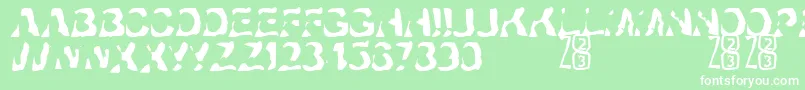 Zone23Ayahuasca Font – White Fonts on Green Background