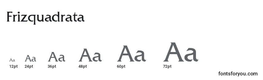 Размеры шрифта Frizquadrata