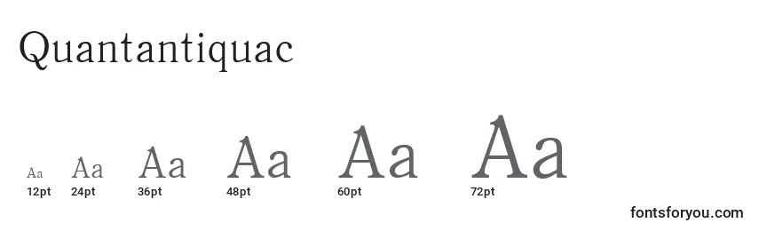 Размеры шрифта Quantantiquac