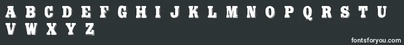 Шрифт BoldPressingH1Demo – белые шрифты на чёрном фоне
