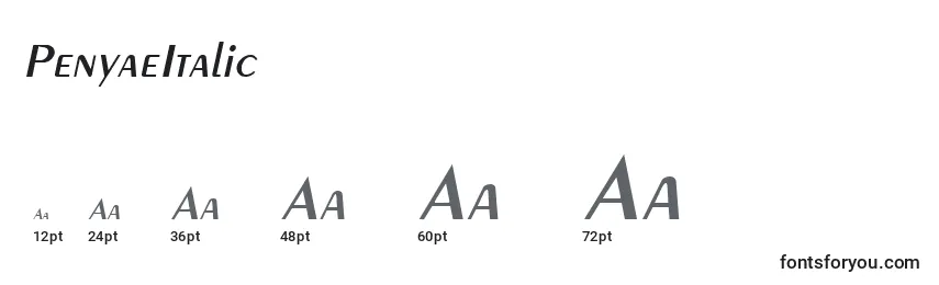 Размеры шрифта PenyaeItalic