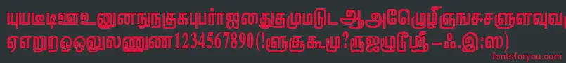 ViththiRegular Font – Red Fonts on Black Background