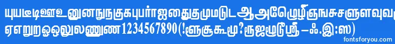 Шрифт ViththiRegular – белые шрифты на синем фоне