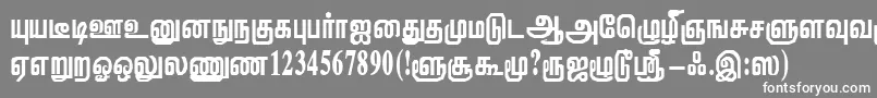 フォントViththiRegular – 灰色の背景に白い文字