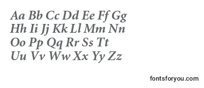 MiniatureBolditalic Font