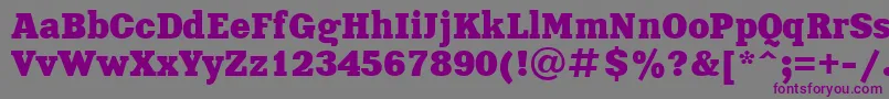 Xeniactt Font – Purple Fonts on Gray Background