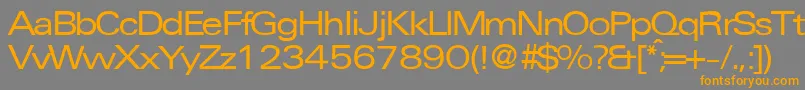 UniversalexpdbNormal Font – Orange Fonts on Gray Background