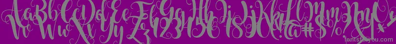Starfish Font – Gray Fonts on Purple Background