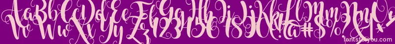 Starfish Font – Pink Fonts on Purple Background