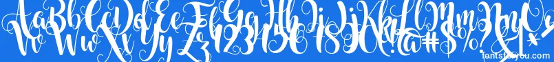 Starfish Font – White Fonts on Blue Background