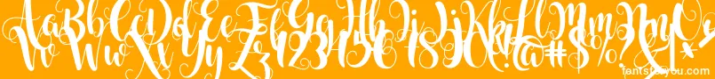 Starfish-Schriftart – Weiße Schriften auf orangefarbenem Hintergrund