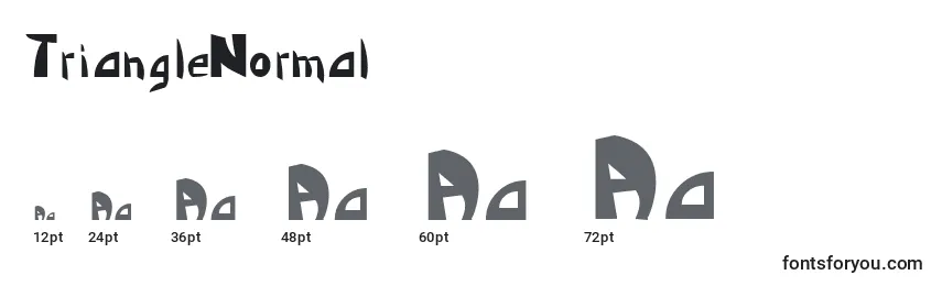 Размеры шрифта TriangleNormal