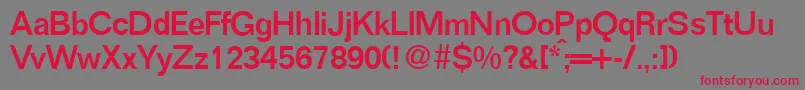 FocusMediumRegular Font – Red Fonts on Gray Background