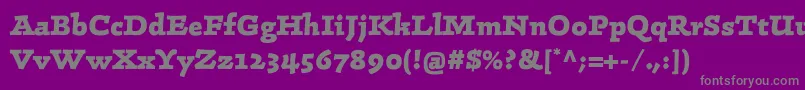 Police LinotypeConradExtrabold – polices grises sur fond violet